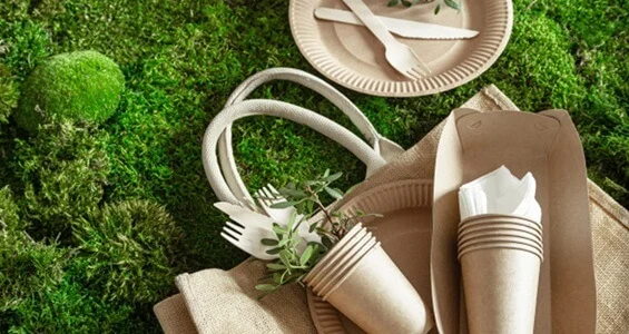 Eco-friendly Manufacturing Practices